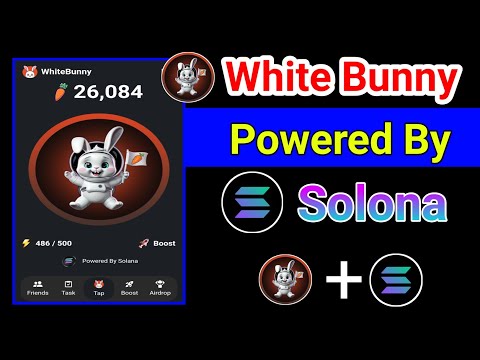 White Bunny Mining || Telegram mining bot 2024 || White_Bunny Powered By Solona🤑