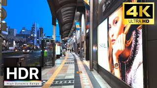 夕方の鹿児島を散歩 2024 Kagoshima Evening Walk in Japan【4K HDR】