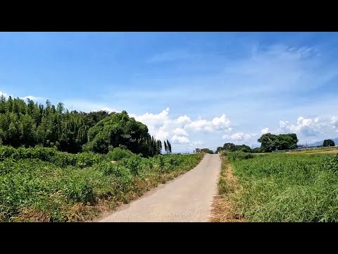 Walking Through a Rural Countryside in 38°C Heat | Hot Summer Day Scenic Walk