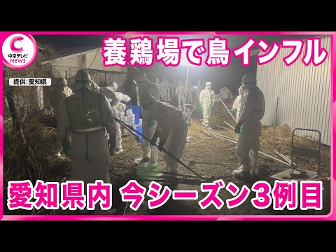 【養鶏場で鳥インフル】今シーズン3例目　 愛知・常滑市