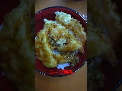 【コープ商品】天丼の具