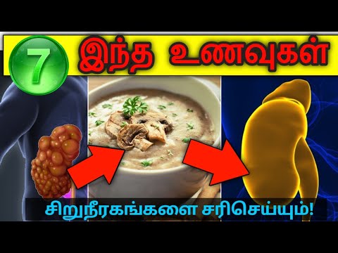 இந்த 07 உணவுகள் சிறுநீரகங்களை சரிசெய்யும்! | These 07 foods can repair kidneys | STAR LABORATORY