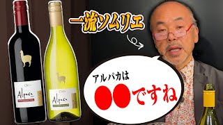 【激安ワイン】アルパカって美味しいですか？