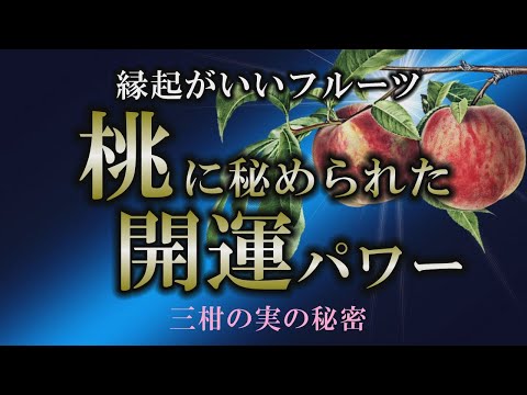 【桃】美味しいだけじゃない！桃に秘められた幸運パワー！【peach】