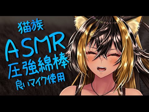 ⚡ASMR / DPAmic 猫族店_圧強綿棒🔥  ( cotton swab )【猫小夜くろえ/Vtuber】