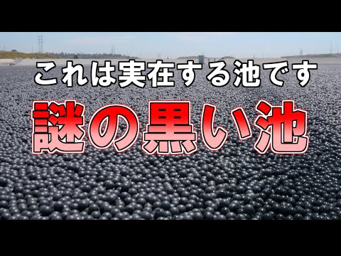 【ゆっくり解説】黒い物体に埋め尽くされた謎の黒い池