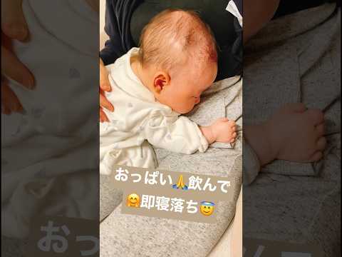 おっぱい飲んで 即寝落ち　#baby #子供 #shorts