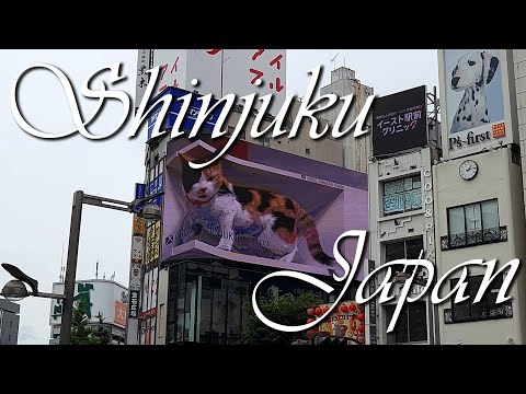 Shinjuku, Kabukicho in Tokyo