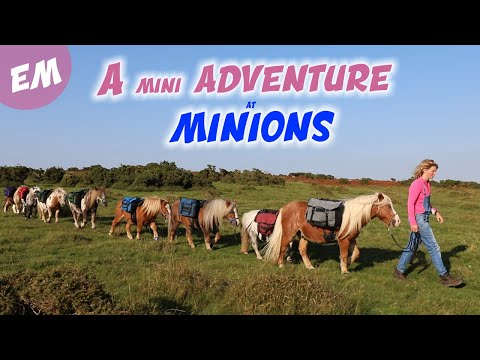 8 Minis go to Minions