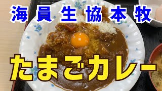 【海員生協本牧レストラン】カレーライス＋生卵【本牧ふ頭】横浜朝めしチャンネル【海員生協本牧 たまごカレー】