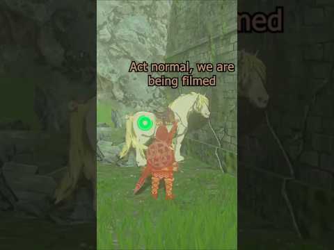 From the horse's mouth #zelda#totk#tearsofthekingdom#shorts  #gameplay #ティアキン #zeldaedit