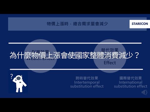 為什麼物價上漲會使國家整體消費減少？Aggregate Demand【經濟學學什麼】