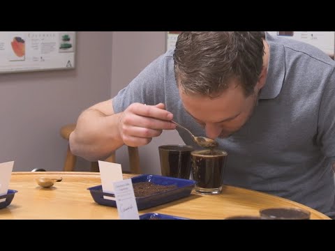 What Is A Coffee Cupping & How To Do A Coffee Cupping | Coffee Basics 101 2020