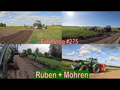 Farmvlog #275: Rüben und Möhren Ernten | Die letzten Körner verstecken