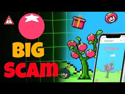 TOMARKET NEW ANNOUNCEMENT BIG SCAM |BE CEARFUL