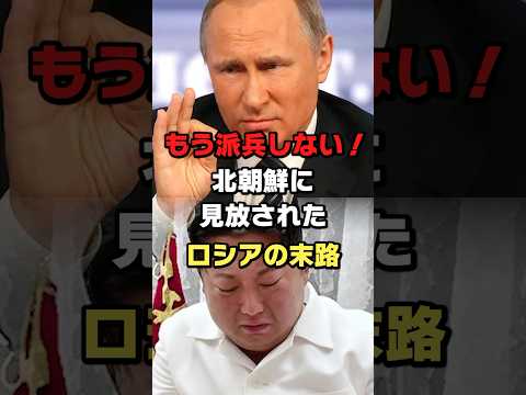 北朝鮮がロシアへの派兵を停止#ロシア #ウクライナ #北朝鮮 #プーチン #ショート #shorts #ゆっくり解説