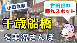 【実況街ブラ】世田谷の隠れスポット千歳船橋を歩いてみた Japan Walking Tour of Chitose-Funabashi Station