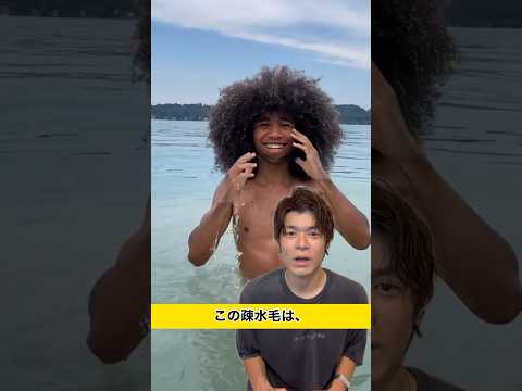 疎水毛の解説 #海外美容室 #美容室経営 #美容室 #美容師