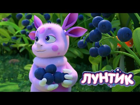 Лунтик | Ягодный сбор 🍓🍓🍓 Сборник мультиков для детей