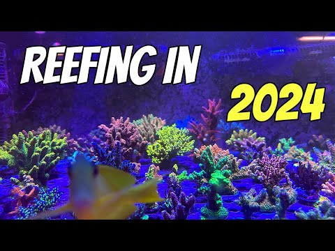 If I Started a Reef Tank in 2024, I'd Do This