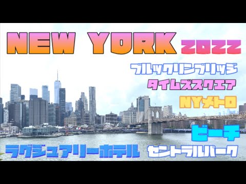 🗽美容外科医が行く🇺🇸コロナ禍のアメリカ、ニューヨーク旅行記 #NY #USA