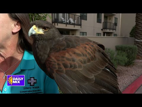 Liberty Wildlife | Local Wildlife Rescue and Education Center