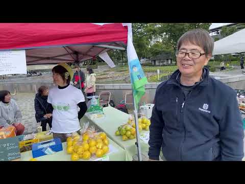 大阪住吉公園のすみすみマルシェでカボスを販売してます