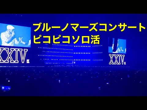 #ソロ活　　神戸ランチ　関係ない　#brunomars  ライブに行ってきた！#japan