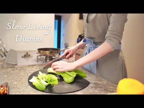 [vlog]A Day in the Life of a Japanese Housewife, Starting with Making Bento