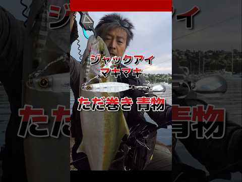 ジャックアイマキマキ 青物 ただ巻きで釣れる #fishing #ショアジギング