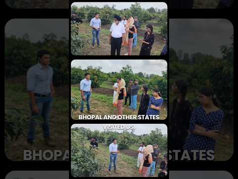 Farming enthusiasts from Jammu, Bangalore visited #Indoisraelavocado 🥑🇮🇳 #avocadofarming #shorts