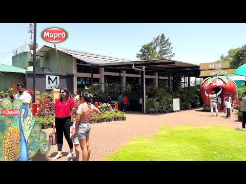 Mahabaleshwar Mapro Garden Tour - 4K | Panchgani