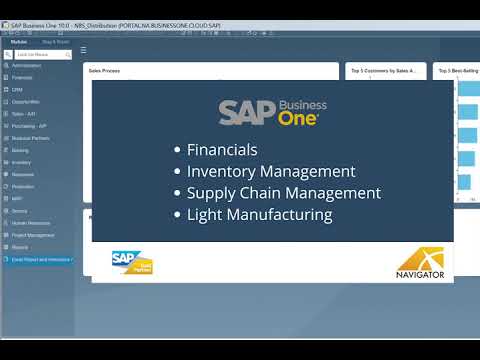 SAP ERP Solutions for Distributors