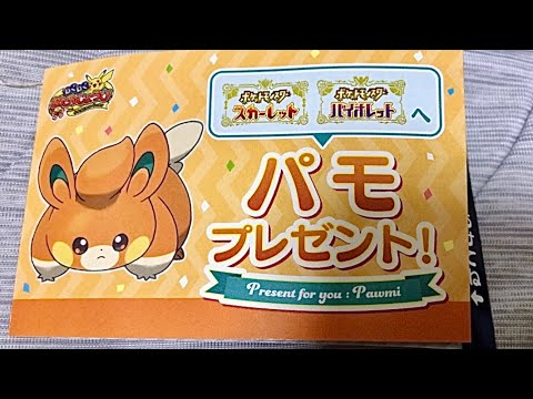 ポケモンSV わくわくお誕生日パモさんを今更紹介