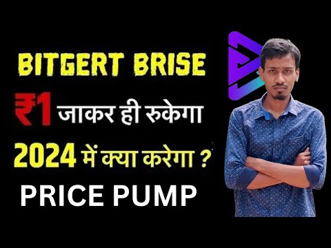 BRISE Best Coin 2024 | Bitgert Supply Burn | BRISE Coin ₹1 | Binance Listing