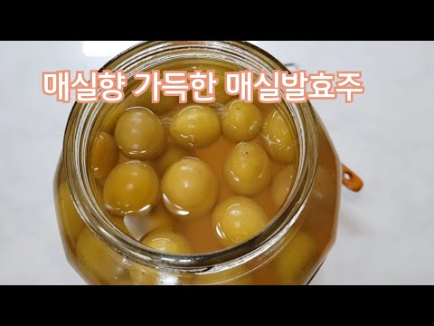 매실발효주 - 과일발효주 만드는 방법/매실향 가득한 매실주를 만들어 보자/