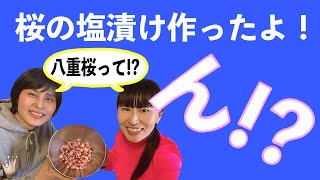 桜の塩漬けを作りました。出来上がったらアレ？なんか変！