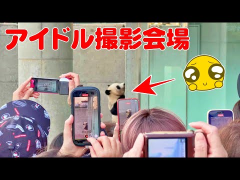 🐼楓浜の魅力全開！アイドル級ショットが撮れる撮影会の秘密😍