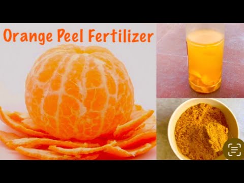 2 Easiest Method To Make Orange Peel Fertilizer For Plants / Free Homemade Organic Fertilizer