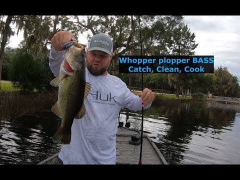 Whopper plopper BASS, Catch, Clean, Cook! Smoked fish and fish dip!!