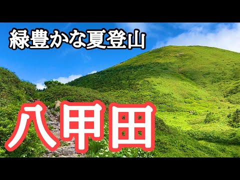 【絶景】夏の八甲田大岳1,585m