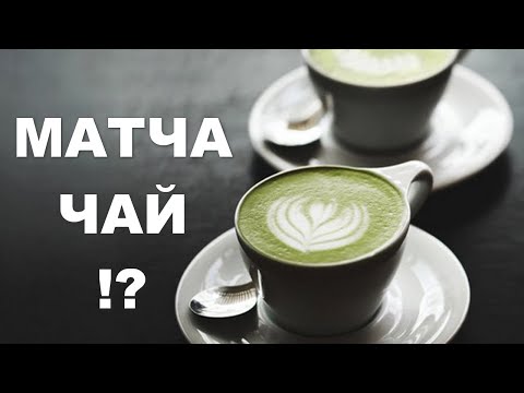 Матча – вкусная новинка или чудо чай