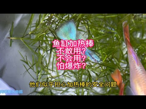 鱼缸加热棒，不敢用？不会用？怕爆炸？