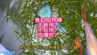 鱼缸加热棒，不敢用？不会用？怕爆炸？