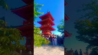 7 must visit places in Kyoto, Japan #shortsvideo #japantravel #kyotosightseeing #kyototrip #travel