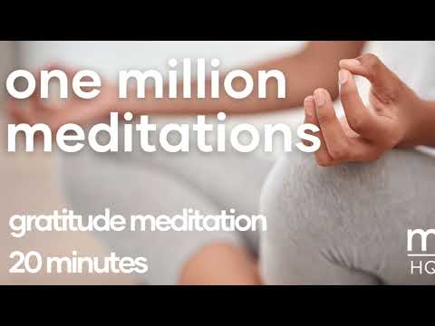 OMM | 20 Minute Guided Meditation | Gratitude