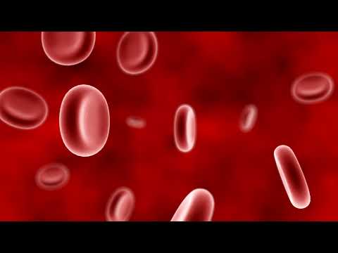 haemoglobin25 Live Stream