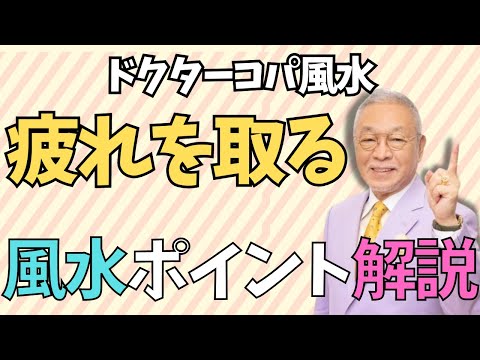 【疲れを取る風水！】Copa&Copa バスタオルラベンダー