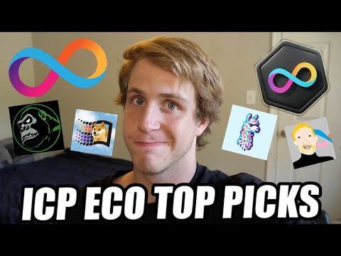 ICP ecosystem top picks for the bull run! Massive potential!