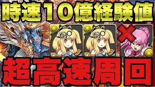 【マァム不要】シヴァドラで両サレ裏修羅！1周7-9分で1.7億経験値！詰み無しで全敵パターン対応！立ち回り徹底解説！代用多数で組みやすい！【パズドラ】